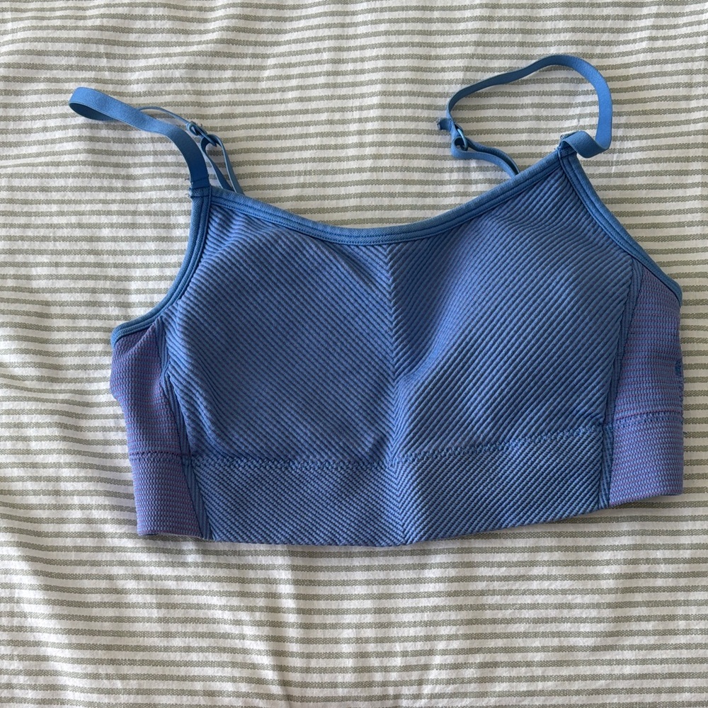 Blue Sports Bra
